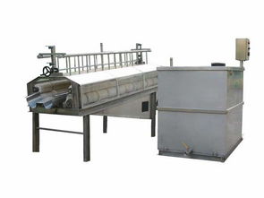 河北多功能清洗機(jī)引領(lǐng)蔬菜機(jī)械加工廠智能化升級(jí)